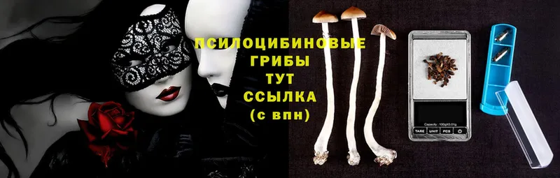 Псилоцибиновые грибы Psilocybine cubensis  гидра онион  Кировск 